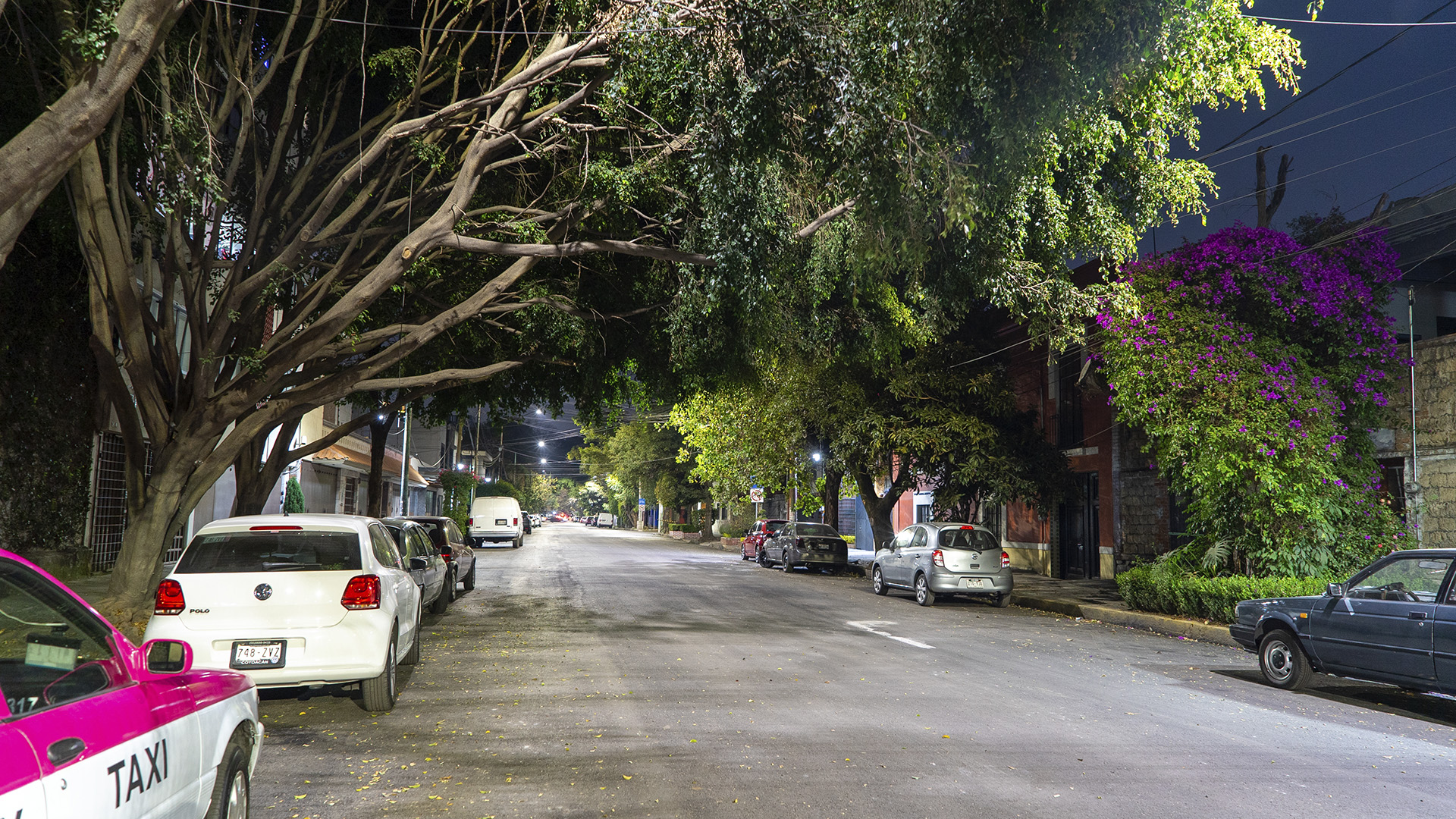 Coyoacán iluminado con Lighting Master Plan