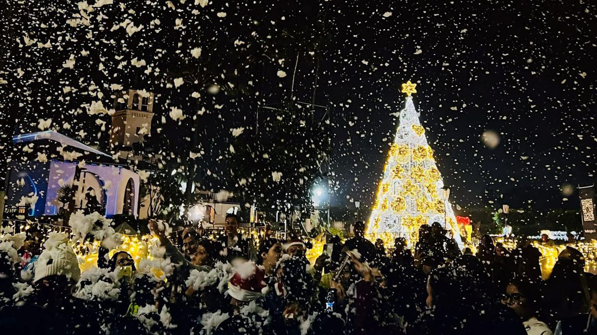 Adornos de Temporada Ensenada Navidad