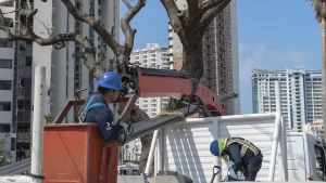 Equipo operativo especializado en atención prioritaria ante crisis de Alumbrado público durante la crisis del huracán Otis